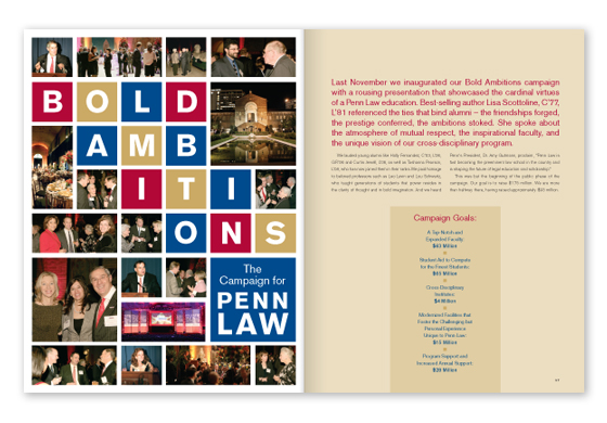 Featured Article - Bold Ambitions