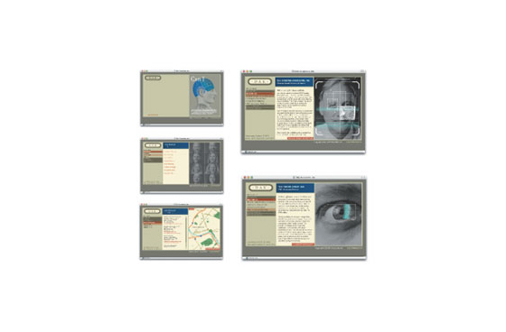 Website
