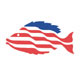 American Fish Co.