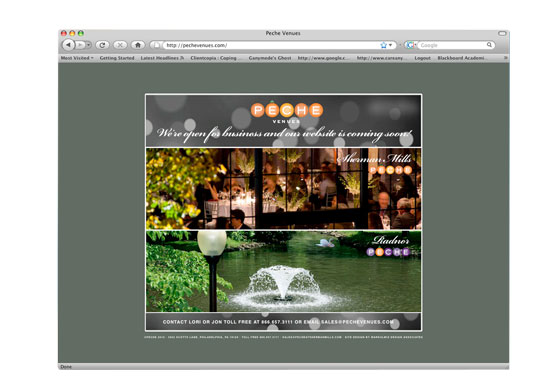 Website